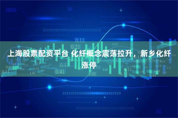 上海股票配资平台 化纤概念震荡拉升，新乡化纤涨停