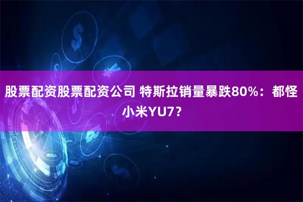 股票配资股票配资公司 特斯拉销量暴跌80%：都怪小米YU7？